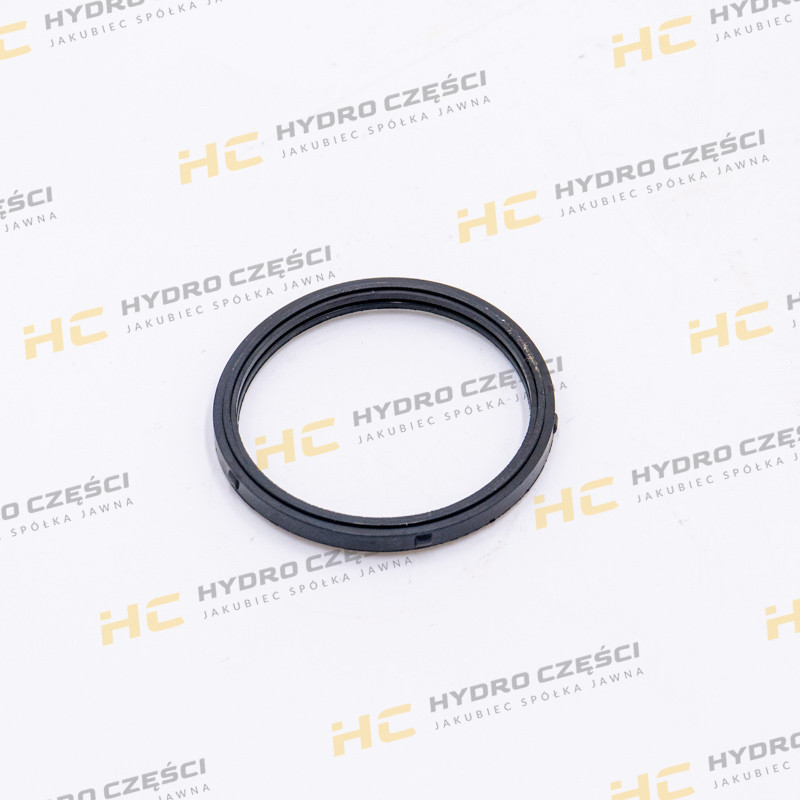 Защита термостата JCB Uszczelka для DieselMax — 3CX 4CX AZERI PARTS