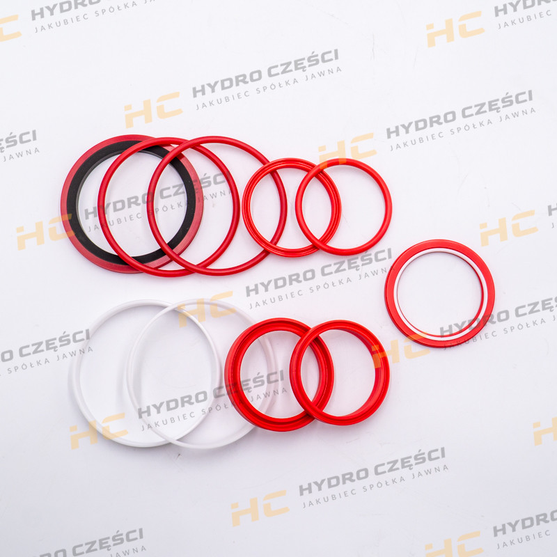 Комплект уплотнений JCB 60x100 DELLAR (качество OEM)